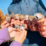 Ludaš 2025 Eco-educational Camp Announcement